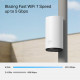 WiFi Mesh-система TP-Link Deco BE25-Outdoor (1-pack)