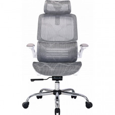Крісло офісне OfficePro Verto OC570G