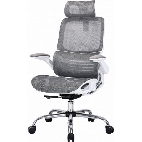 Крісло офісне OfficePro Verto OC570G Купити в Україні