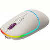 Миша бездротова Canyon MW-22 Dual Band RGB Wireless Rice (CNS-CMSW22RC)