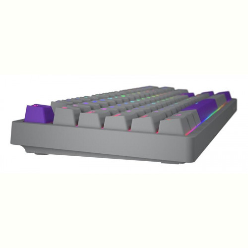 Клавіатура Hator Rockfall 2 Mecha TKL Autograph Edition Titanium (HTK-526)