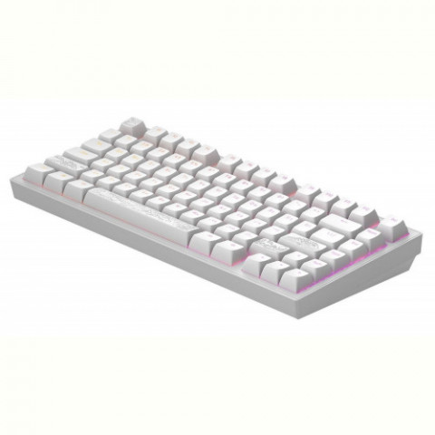 Клавіатура Dark Project ALU81 Terra Nostra White (DPKB_NOSTRA_81_ANSI_WHITE_UA)