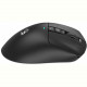 Миша бездротова Bloody R73 Ultra Black