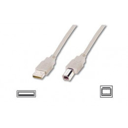 Кабель ASSMANN USB 2.0 (AM/BM) 1.8m, biege