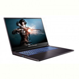 Ноутбук Dream Machines RG2050-17 (RG2050-17UA20) Black