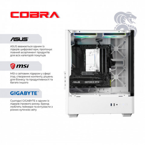 Персональний комп`ютер COBRA (A55.16.S5.35.23116)