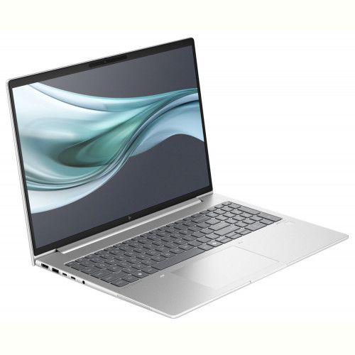 Ноутбук HP EliteBook 665 G11 (8Z715AV_V1) Silver