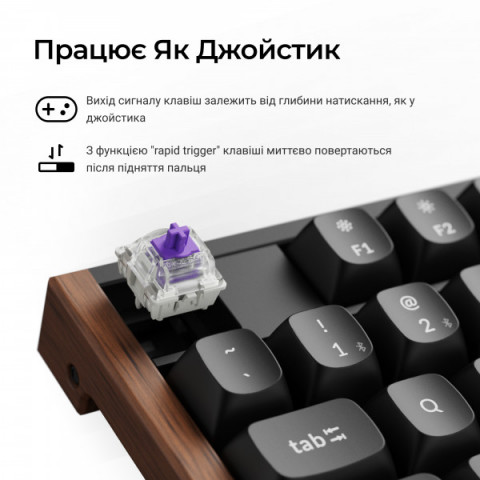 Клавіатура бездротова Keychron K10 HE Magnetic Switch Black RGB (K10H-F1-UA) Купити в Україні