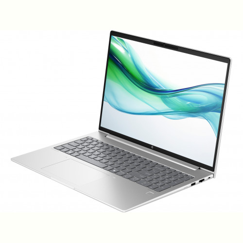 Ноутбук HP ProBook 460 G11 (8Z675AV_V4) Silver