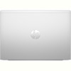 Ноутбук HP ProBook 460 G11 (8Z675AV_V4) Silver