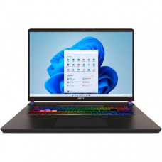 Ноутбук MSI Vector 17 HX AI A2XWJG-042UA 17" QHD+, Intel U9-275HX, 32GB, F1TB, NVD5090-24, W11, чорний