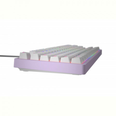 Клавіатура Hator Rockfall 2 Mecha TKL Orange Lilac (HTK-724)