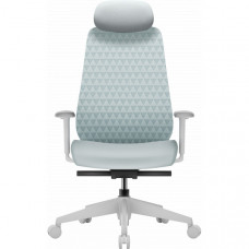 Крісло офісне OfficePro Omnis OC640G