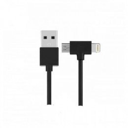 Кабель WK WDC-008 Axe Lightning/microUSB, 1м Black (6970349287285)