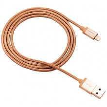 Кабель Canyon USB - Lightning (M/M) 1 м, Gold (CNS-MFIC3GO)