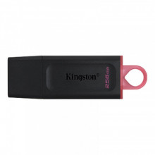 Флеш-накопичувач USB3.2 256GB Kingston DataTraveler Exodia Black/Pink (DTX/256GB)