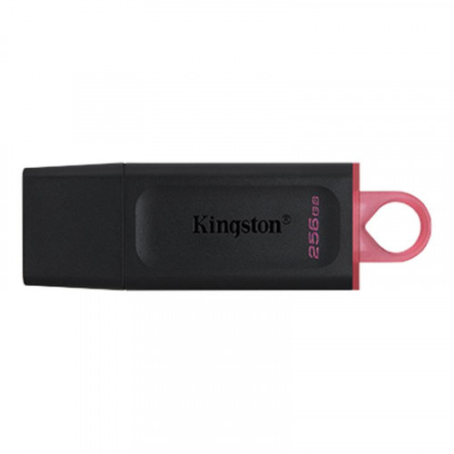Флеш-накопичувач USB3.2 256GB Kingston DataTraveler Exodia Black/Pink (DTX/256GB)