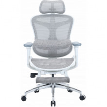 Крісло офісне з підставкою для ніг Sihoo DORO C300L Mesh White with footrest (DORO-C300L-A3-102-JT)