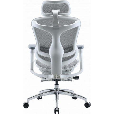 Крісло офісне з підставкою для ніг Sihoo DORO C300L Mesh White with footrest (DORO-C300L-A3-102-JT) Купити в Україні