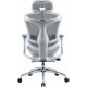 Крісло офісне з підставкою для ніг Sihoo DORO C300L Mesh White with footrest (DORO-C300L-A3-102-JT) Купити в Україні
