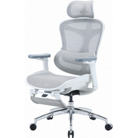 Крісло офісне з підставкою для ніг Sihoo DORO C300L Mesh White with footrest (DORO-C300L-A3-102-JT) Купити в Україні