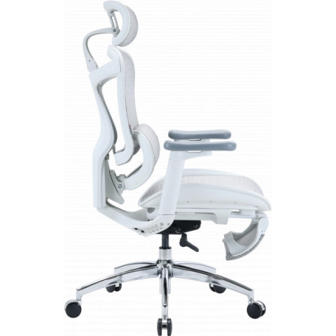 Крісло офісне з підставкою для ніг Sihoo DORO C300L Mesh White with footrest (DORO-C300L-A3-102-JT) Купити в Україні