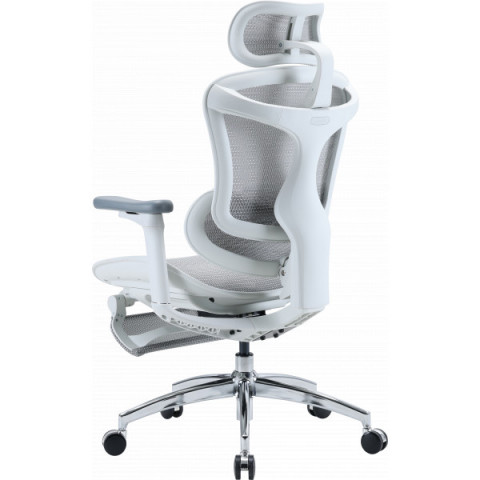 Крісло офісне з підставкою для ніг Sihoo DORO C300L Mesh White with footrest (DORO-C300L-A3-102-JT) Купити в Україні