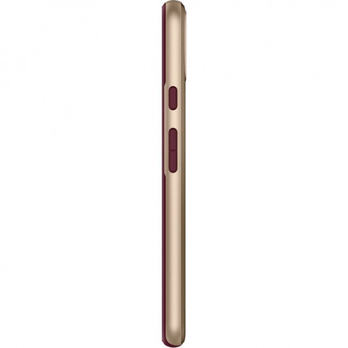 Чохол-накладка Spigen Neo Hybrid для Google Pixel 4 Burgundy (F26CS27574)