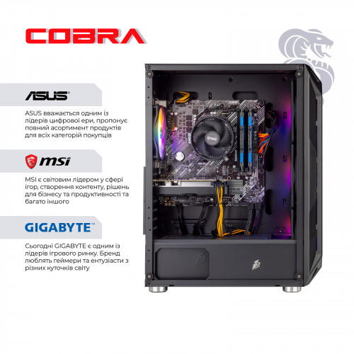 Персональний комп`ютер COBRA Gaming (A75F.32.S10.46T.19038W)