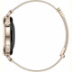 Смарт-годинник Huawei Watch GT 6 41mm Gold with Gold Milanese Strap (55020FTP)