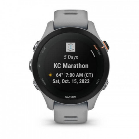 Смарт-годинник Garmin Forerunner 255S Slate (010-02641-02)