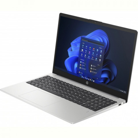 Ноутбук HP 255 G10 (A23NFEA) Turbo Silver