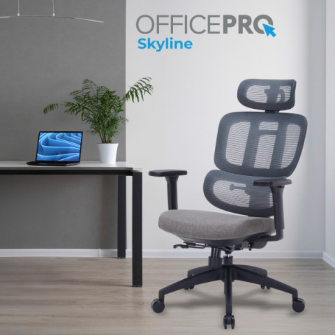 Крісло офісне OfficePro Skyline OC580-B-DG-DG Купити в Україні