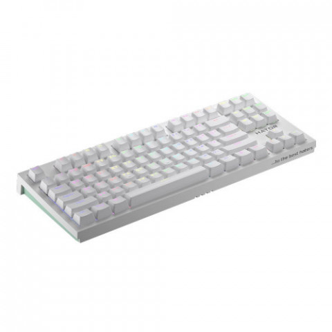 Клавіатура бездротова Hator Skyfall TKL Pro Wireless White (HTK-664)