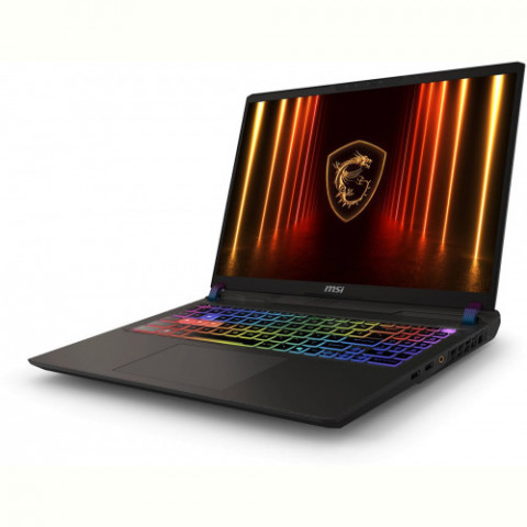 Ноутбук MSI Vector 16 HX AI A2XWHG-232XUA (9S7-15M352-232) Cosmos Gray