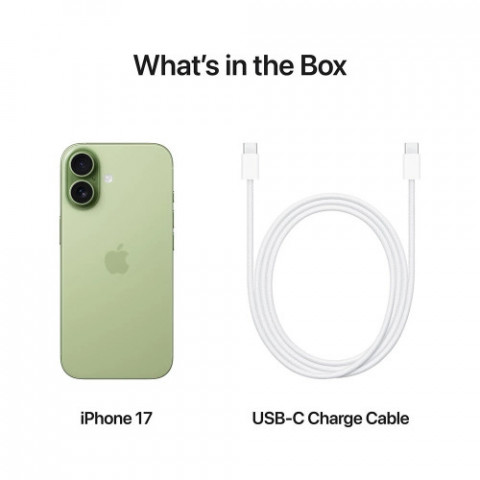 Смартфон Apple iPhone 17 256GB Sage (MG6N4AF/A)