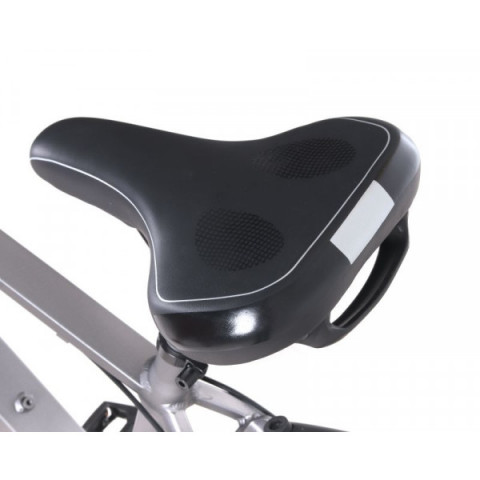 Електричний велосипед Maxxter RANGER (gray)