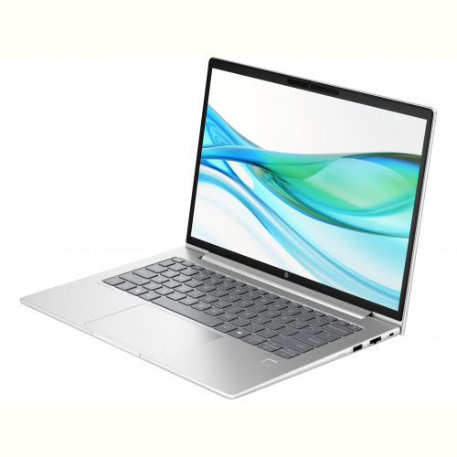 Ноутбук HP ProBook 445 G11 (8Z9P6AV_V2) Silver