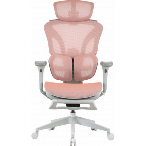 Крісло офісне OfficePro Elite OC950GLP Gray/Light Pink Купити в Україні