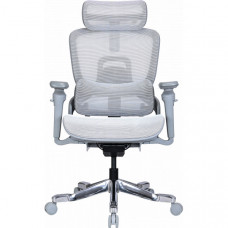 Крісло офісне OfficePro Vionis OC133G