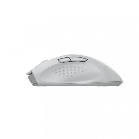 Миша бездротова безшумна A4Tech Fstyler FG55S Plus (White), USB, колір білий