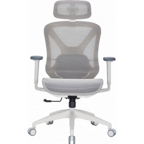 Крісло офісне Officepro Atlas OC630-W-LG-LG Купити в Україні