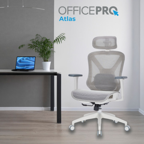 Крісло офісне Officepro Atlas OC630-W-LG-LG Купити в Україні