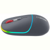 Мишка бездротова Canyon MW-22 Dual Band RGB Wireless Dark Grey (CNS-CMSW22DG)