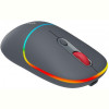 Мишка бездротова Canyon MW-22 Dual Band RGB Wireless Dark Grey (CNS-CMSW22DG)