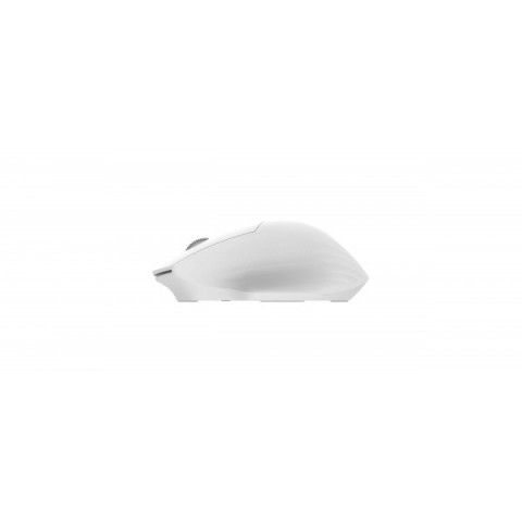 Миша 2E MF280 Silent, WL/BT, білий
