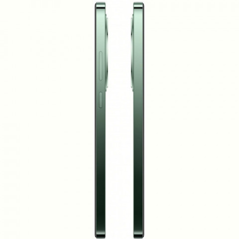 Смартфон Oppo Reno12 FS 12/512GB Black Green