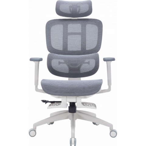 Крісло офісне OfficePro Skyline OC750-W-DG-DG Купити в Україні