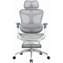 Крісло офісне з підставкою для ніг Sihoo DORO C300 Pro Mesh White with footrest (DORO-C300-PRO-M102-JT)