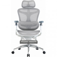 Крісло офісне з підставкою для ніг Sihoo DORO C300 Pro Mesh White with footrest (DORO-C300-PRO-M102-JT)
